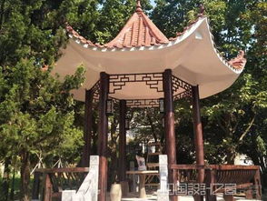 仿古建筑木紋漆優(yōu)選石家莊紅杉彩藝