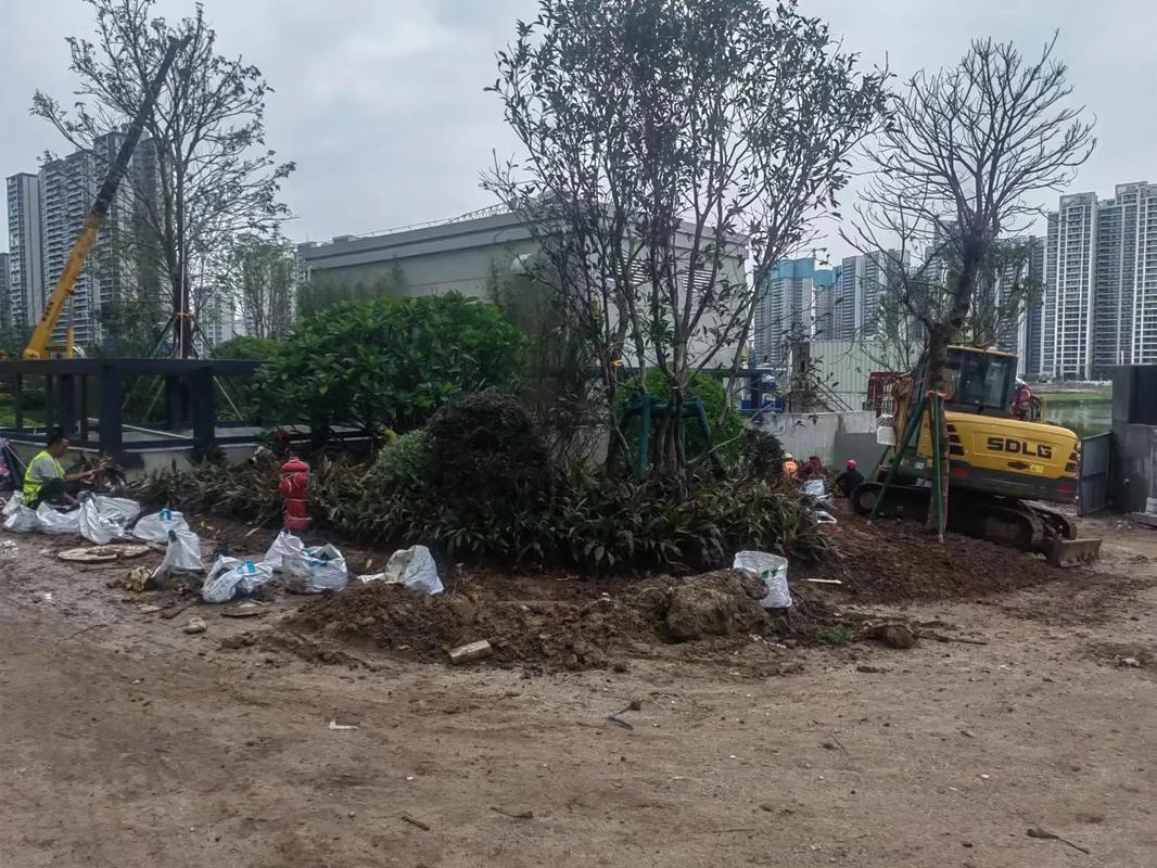 圖文來了 #園林景觀工程 #施工現場實拍 這下雨天,真干不