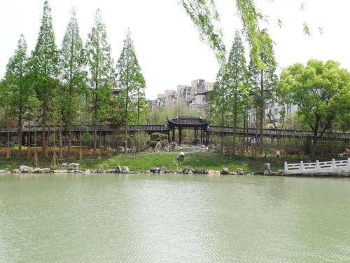 親水平臺 仿古建筑 古運河?xùn)|岸 上新 嘍