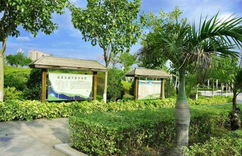 資質(zhì)取消后,如何保證園林綠化工程質(zhì)量