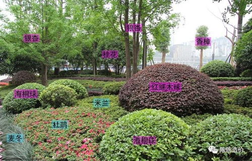 綠化養(yǎng)護(hù)期到底從哪開(kāi)始計(jì) 結(jié)算審計(jì)