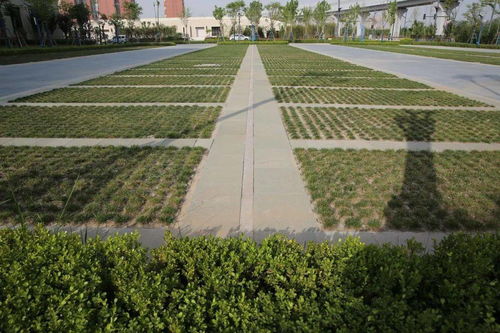 陜建古建園林集團榮獲園林工程獎 銅獎